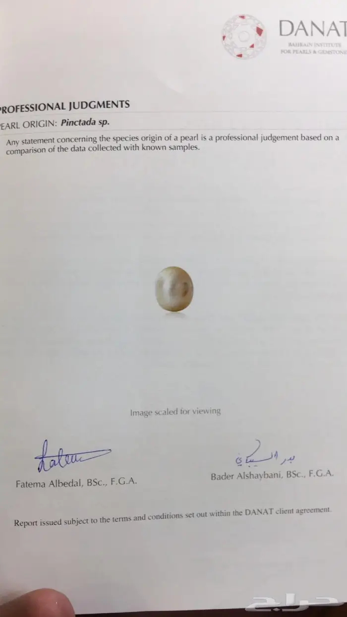 قلادة لؤلؤ مميزة 7