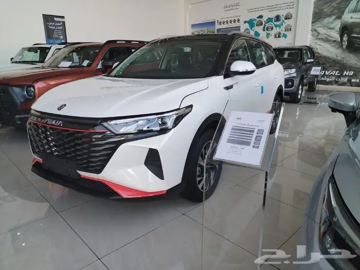 سيارات الدونج فينج A30 -AX70- A60 2023 14