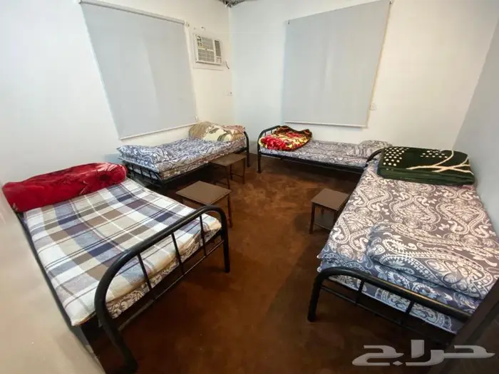 استراحة ومخيمات زهرة الطايف 60