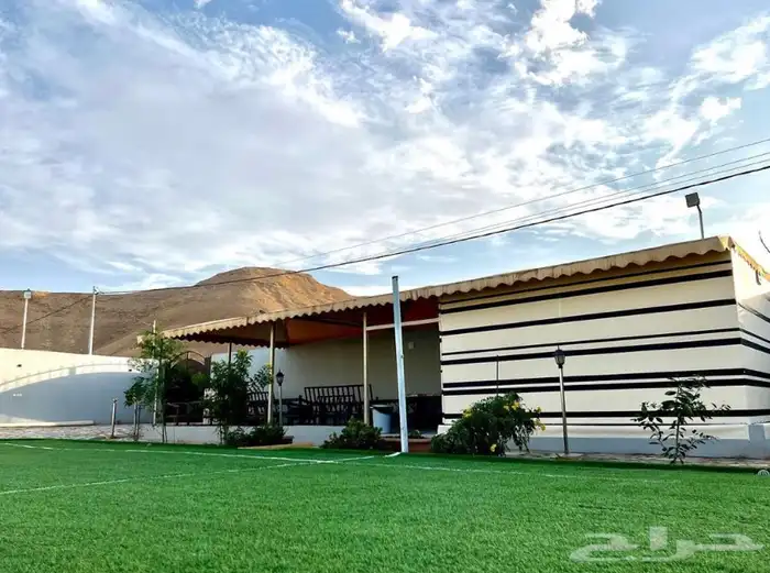 استراحة ومنتجع لافينا للإيجار اليومي 19