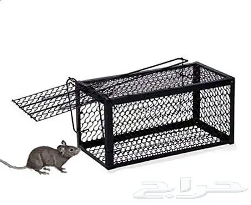 مستلزمات جميع انواع الطيور 38