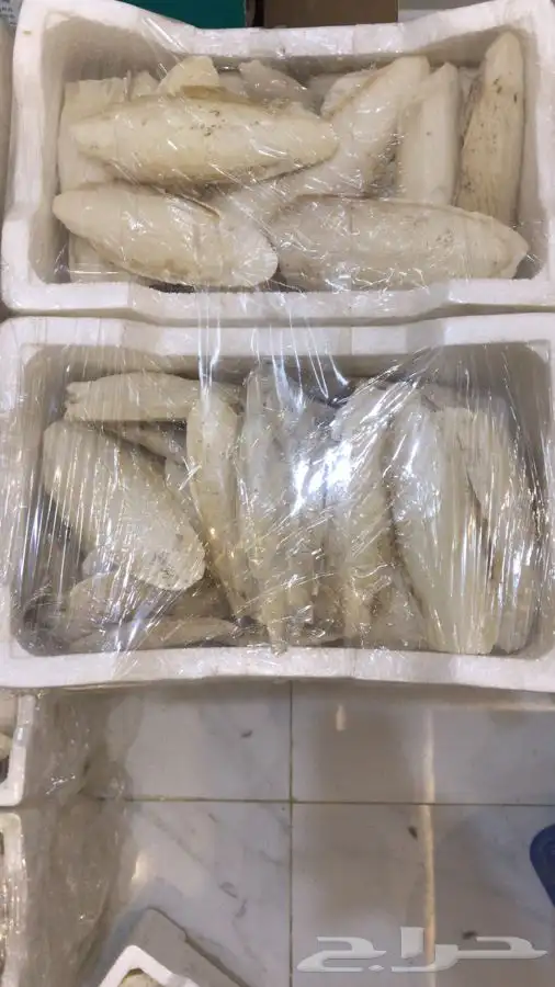 مستلزمات جميع انواع الطيور 33