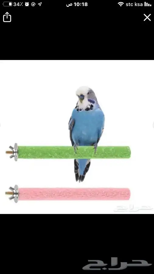 مستلزمات جميع انواع الطيور 11