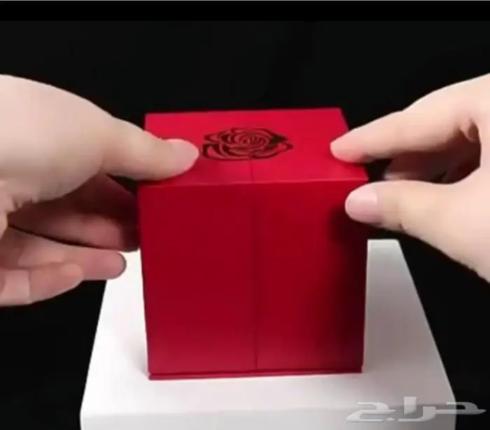 هدية سلسال شكل جميل وبصندوق مميز 2