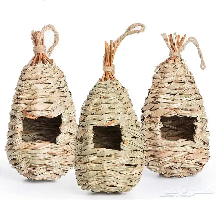 مستلزمات جميع انواع الطيور 56