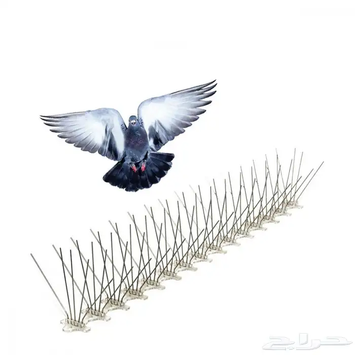 مستلزمات جميع انواع الطيور 43