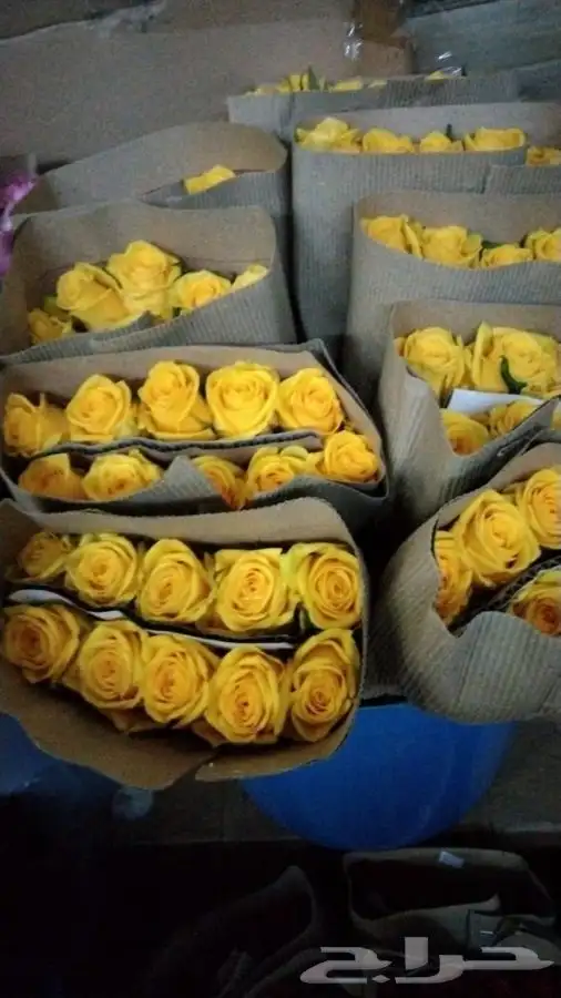 ورد بالجمله تواصل واتس 2