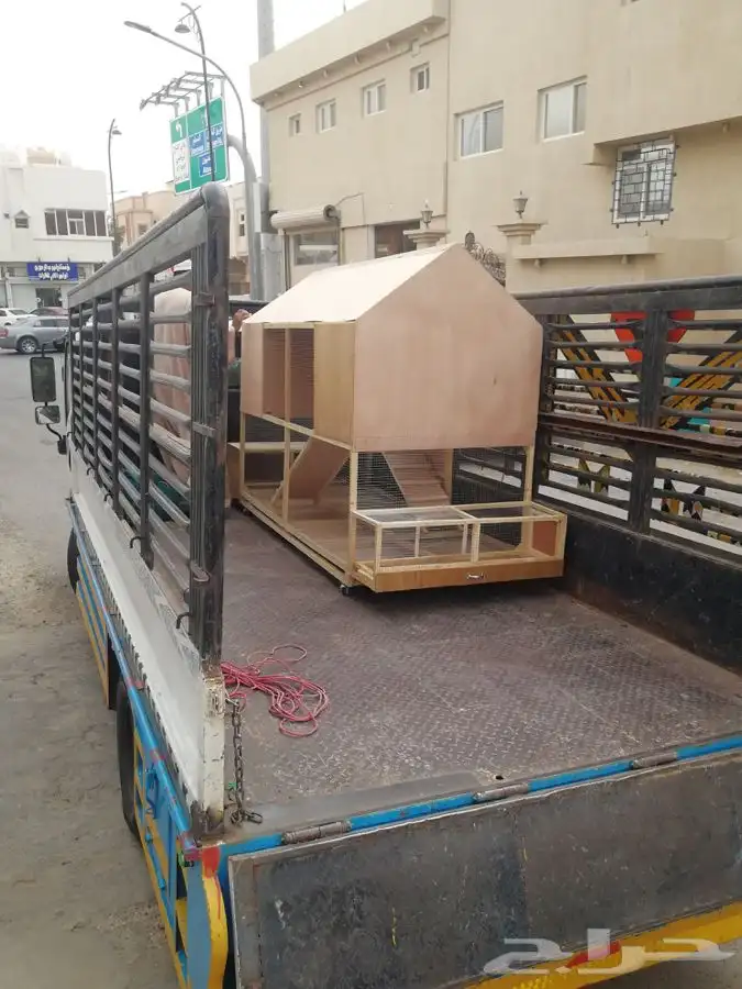 محاكر حمام .محاكر دجاج.محاكر قطط.محاكر كناري و جميع الطيور 62