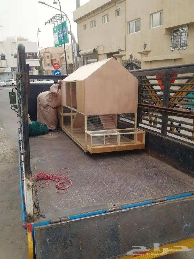 محاكر حمام .محاكر دجاج.محاكر قطط.محاكر كناري و جميع الطيور 63