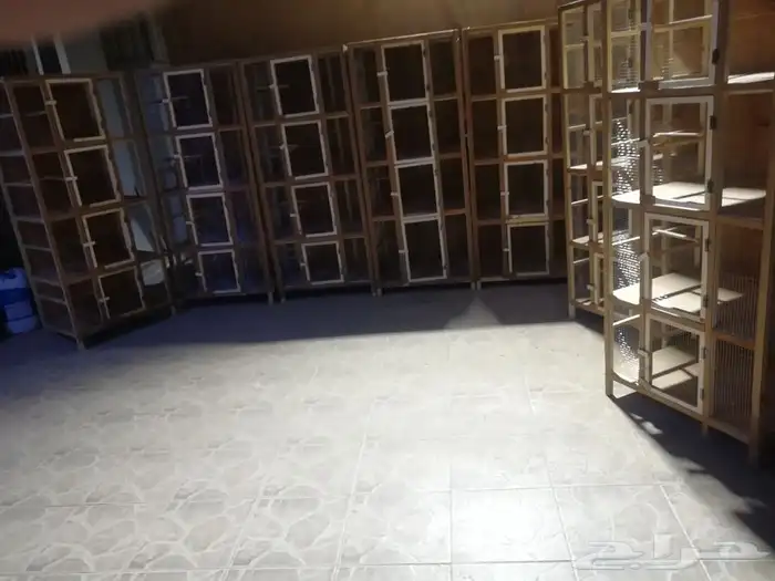 محاكر حمام .محاكر دجاج.محاكر قطط.محاكر كناري و جميع الطيور 52