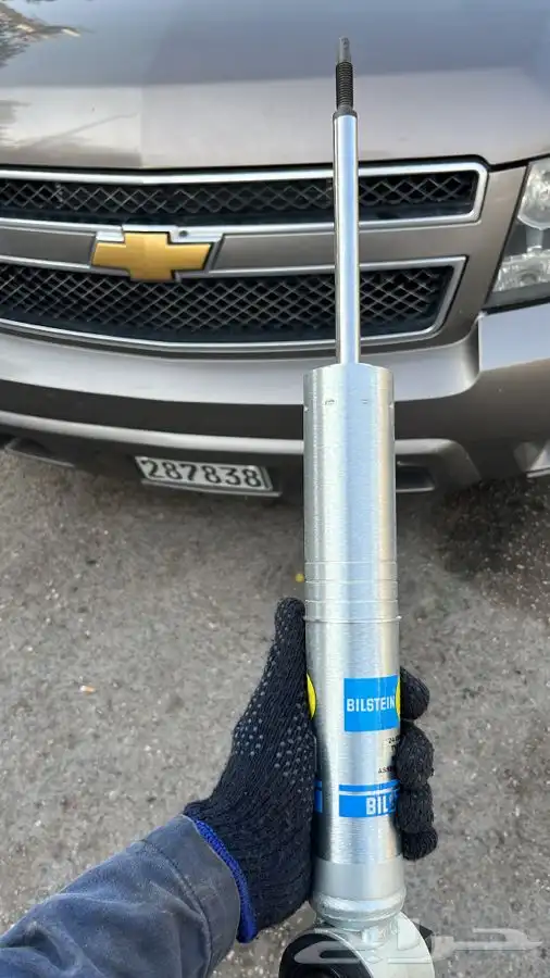 مساعدات بلستين 30