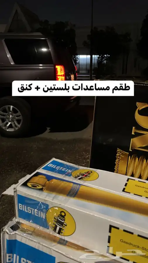 مساعدات بلستين 20