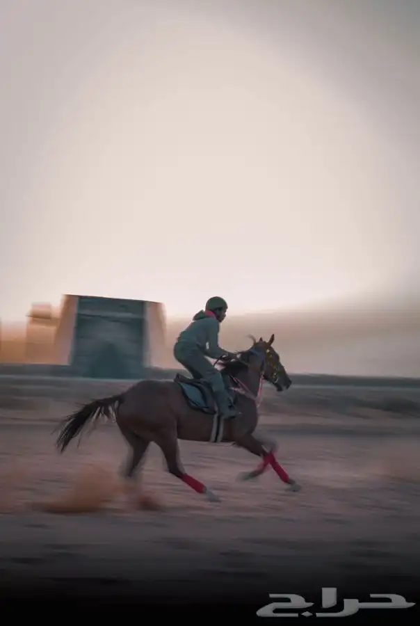 مصور أشخاص وزواجات 25