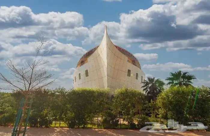 تصوير احترافي _ اعلانات _ مطاعم _ مصانع 0