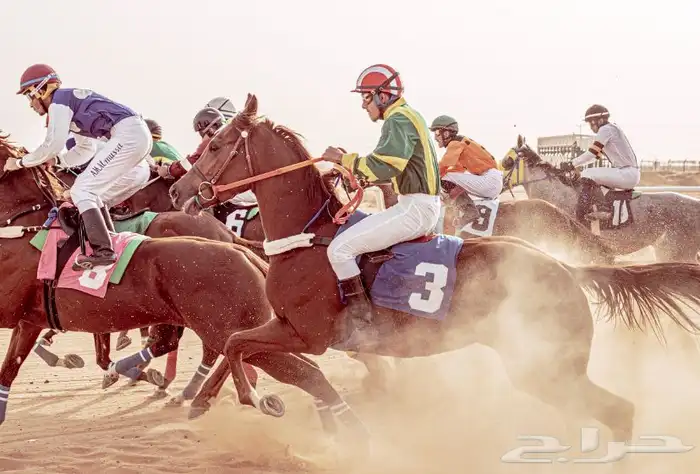 مصور أشخاص وزواجات 26