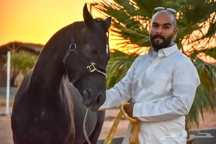 مصور أشخاص وزواجات 11