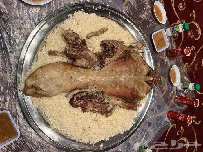 طباخ سعودي متنقل في الرياض 6