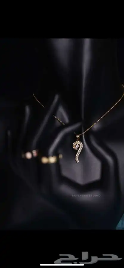 مصورة محترفة 17