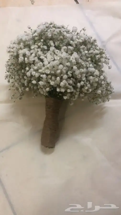 فل عقود للعرسان وورود طبيعيه وشتلات للتواصل اتصال أوواتساب 68