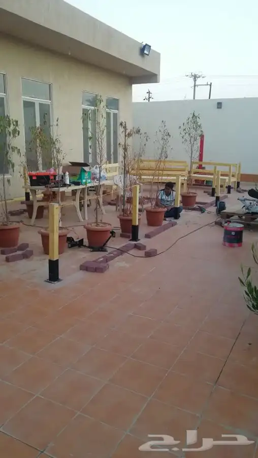 محكر طيور محاكر حمام محاكردجاج شغل نجاره وصبغ 28