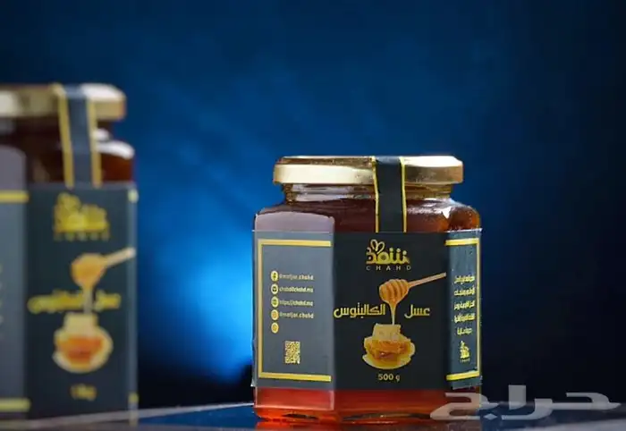 مصورة محترفة 8