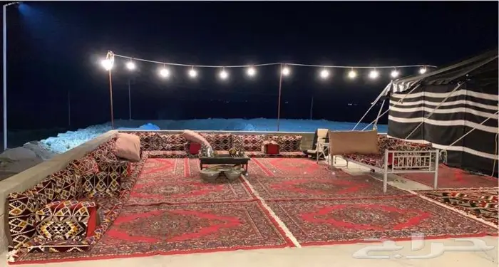 استراحة ومخيمات زهرة الطايف 8