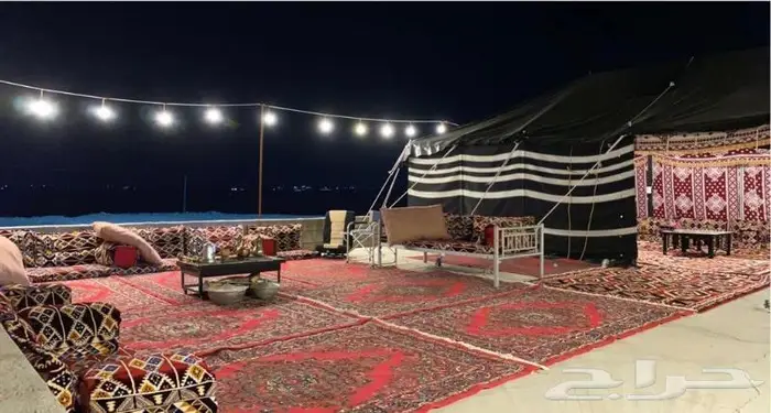 استراحة ومخيمات زهرة الطايف 2