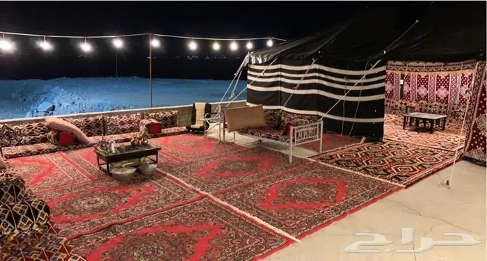 استراحة ومخيمات زهرة الطايف 6