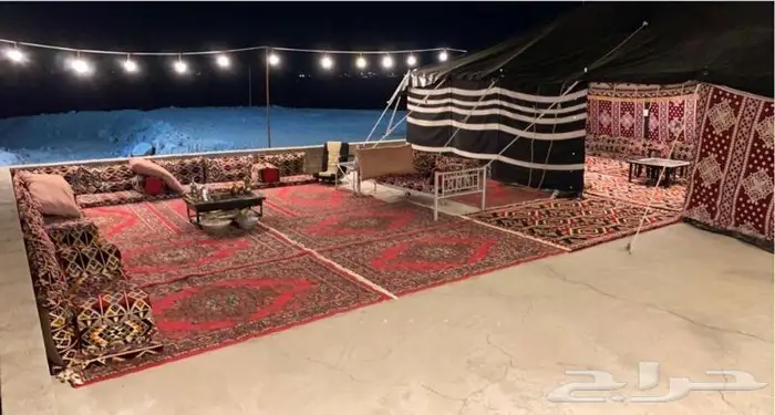 استراحة ومخيمات زهرة الطايف 11