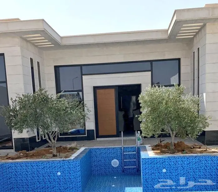 اشجار زيتون . ديكور . لاندسكيب 2