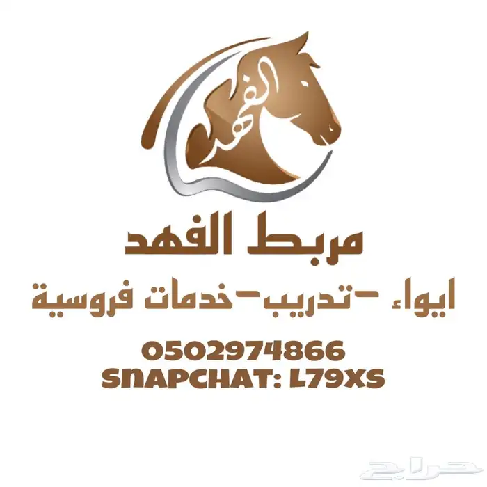 مربط الفهد خيل 0