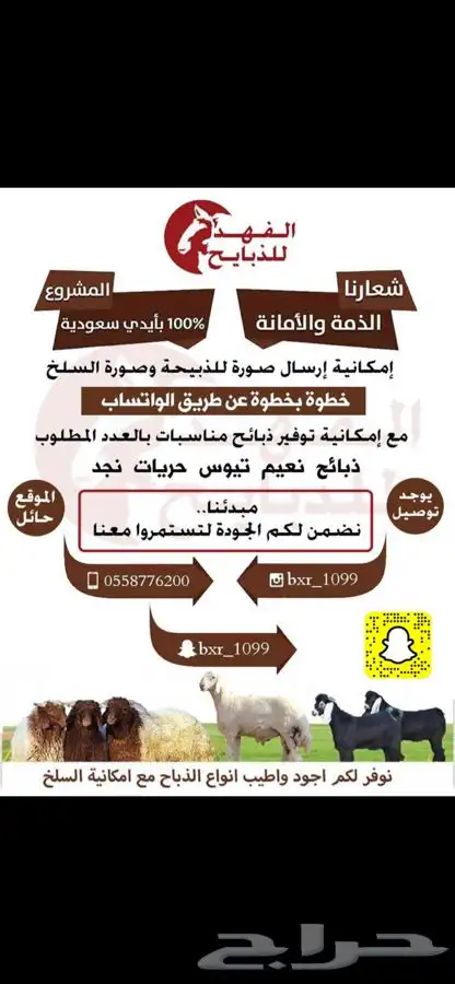 ذبيحتك لباب منزلك 12