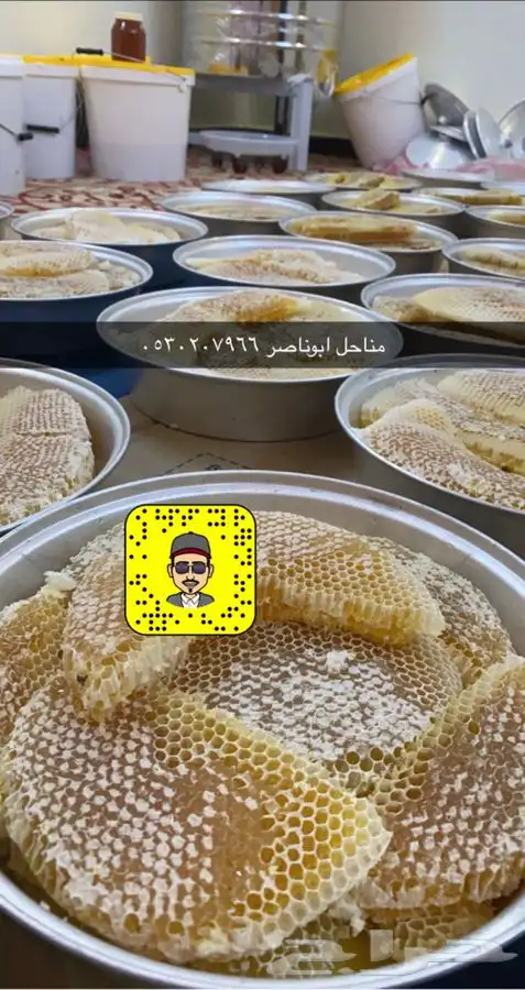 عسل انتاج جديد اصلي 4