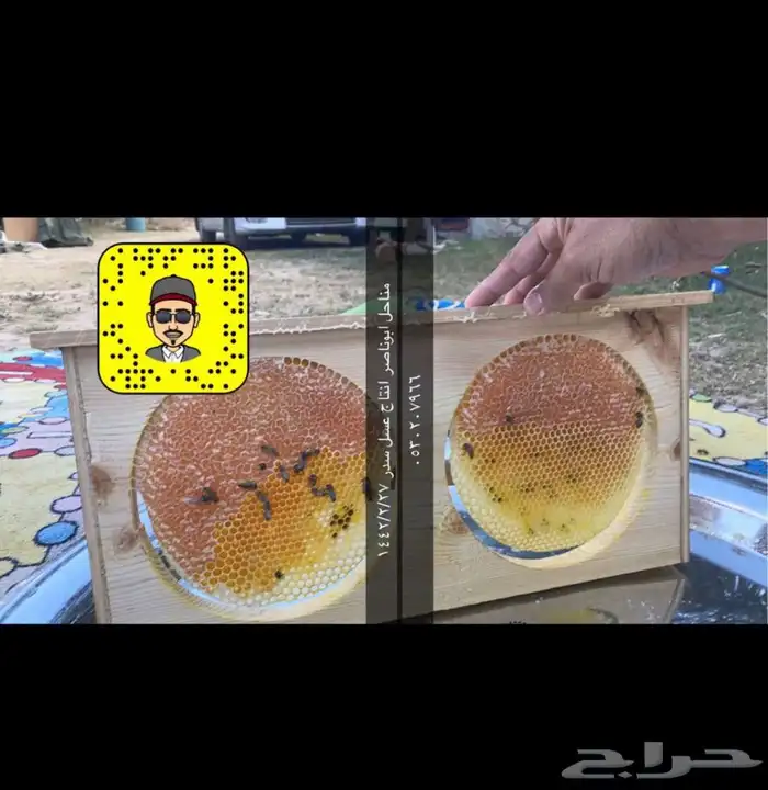 عسل انتاج جديد اصلي 1