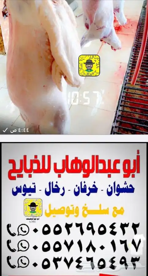 ذبايح خرفان حري من غنم شهران بجازان والخميس -السلخ والتوصيل 13