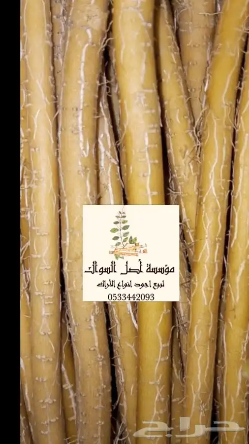 مسواك ابو حنش الحار يصلك اينما كنت 5