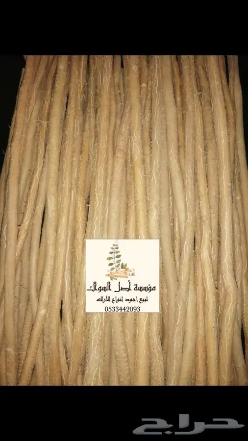 مسواك ابو حنش الحار يصلك اينما كنت 4