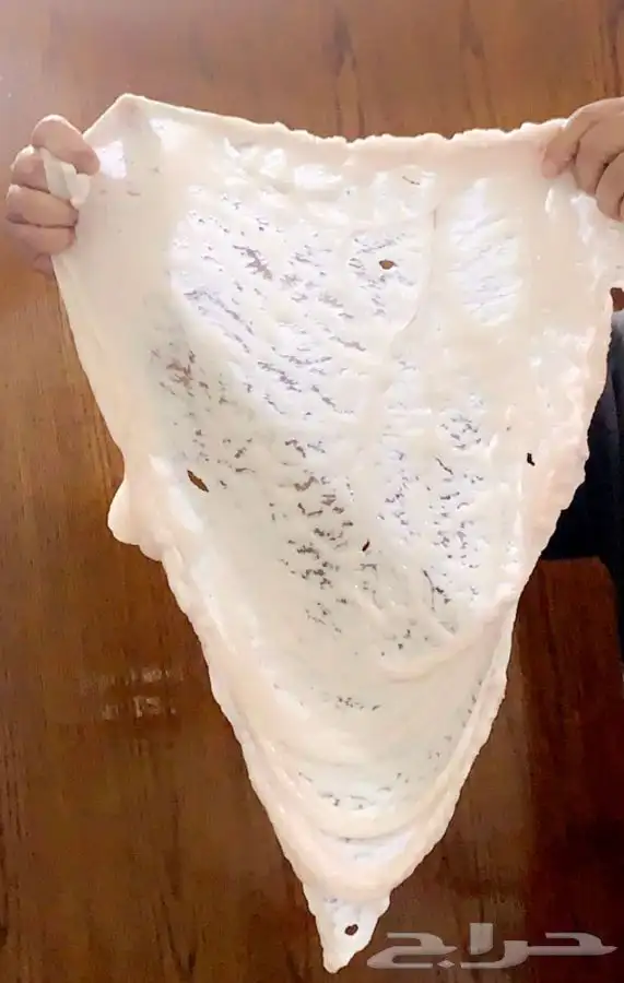 ذبايح خرفان حري من غنم شهران بجازان والخميس -السلخ والتوصيل 7