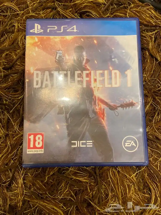 BATTLEFLELD 1 0
