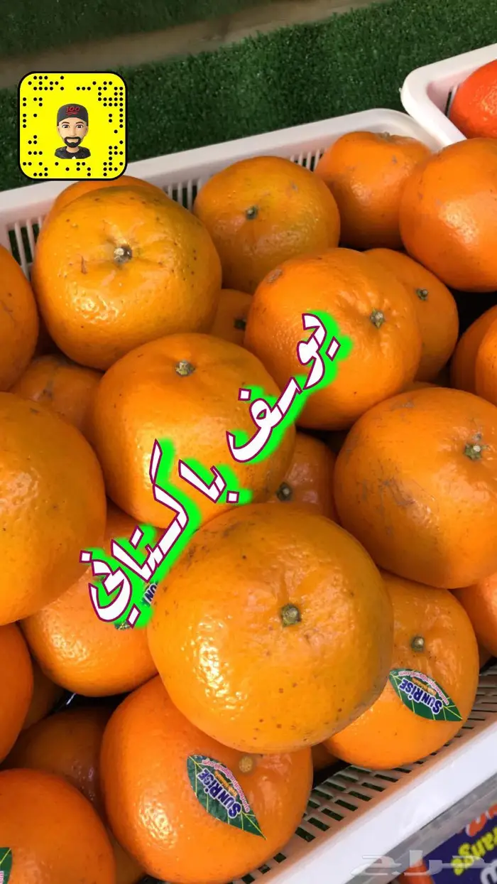 الباسل للخضار والفواكه ويوجد لدينا خدمة توصيل 7