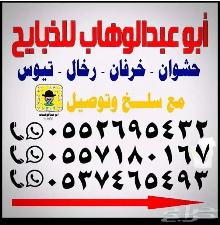 ذبايح خرفان حري من غنم شهران بجازان والخميس -السلخ والتوصيل 2