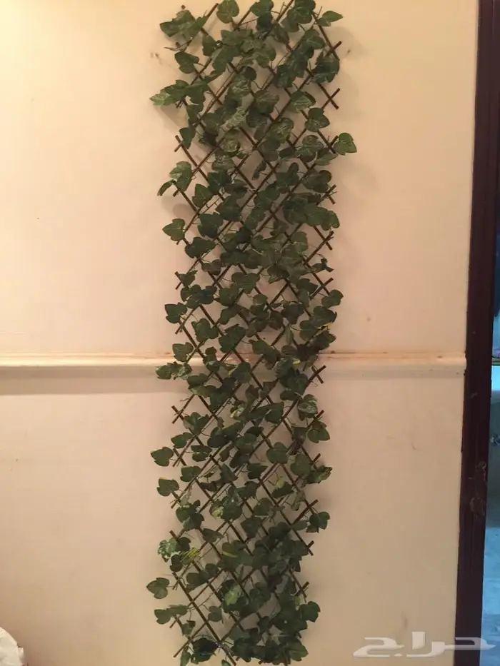 اكسسوارات منزلية اشجار زينة مرايا براويز انارات ديكور للبيع 10