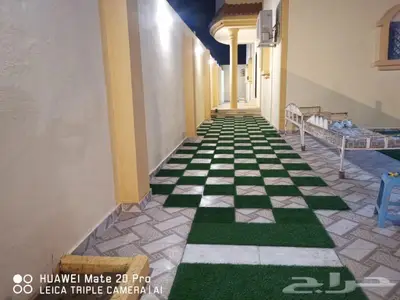 عشب صناعي انجيله صبياجيزان ابوعريش بيش ضمد هروب تنسيق حدائق 16