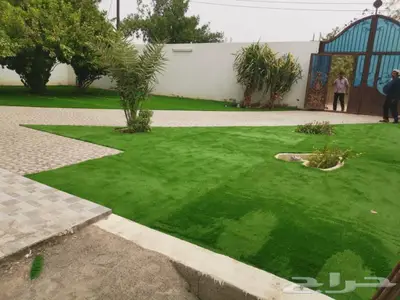 عشب صناعي انجيله صبياجيزان ابوعريش بيش ضمد هروب تنسيق حدائق 13