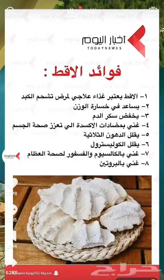  سمن بري ومضير 2