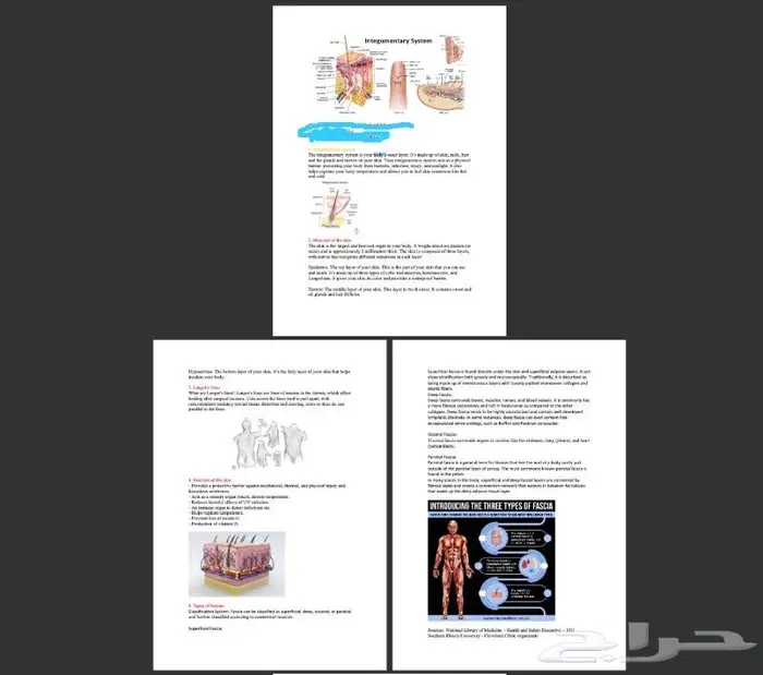 بحوث جامعية ومدرسية 0