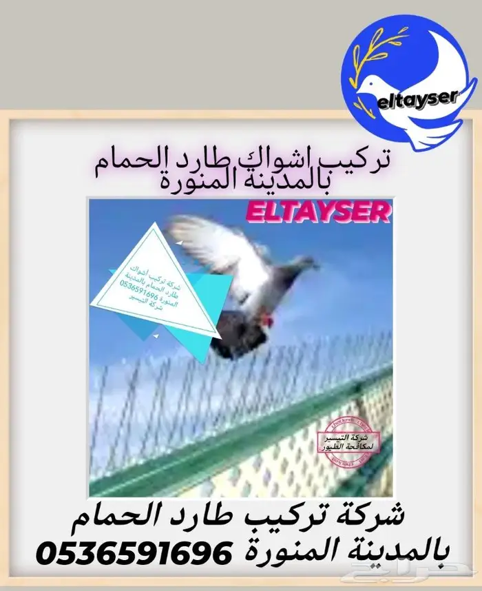 اشواك طارد الحمام بالمدينة المنورة 0536591696 0