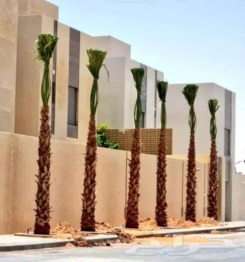 تنفيذ وزراعة الحدائق والمزارع landscape 5