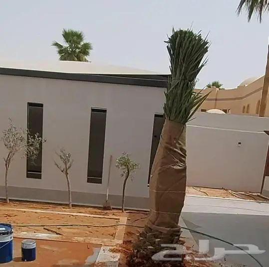 تنفيذ وزراعة الحدائق والمزارع landscape 6