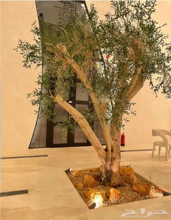 تنفيذ وزراعة الحدائق والمزارع landscape 0